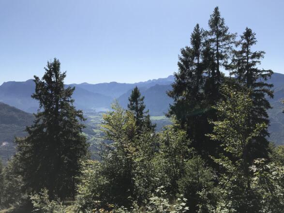 Blick auf Hallstätter See