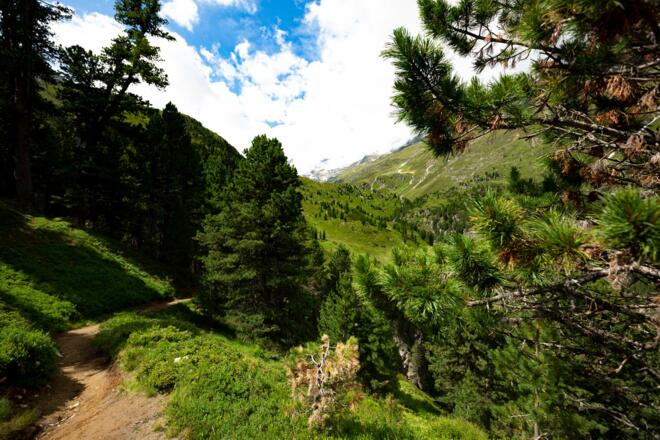Blick in Richtung Gletscher