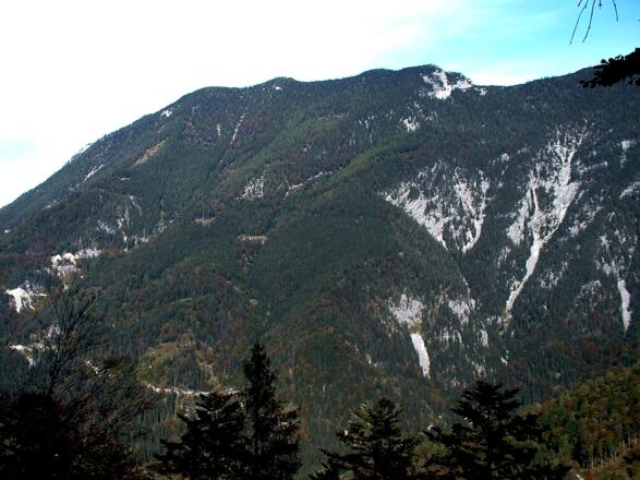 Spering Südseite © Nationalpark Kalkalpen