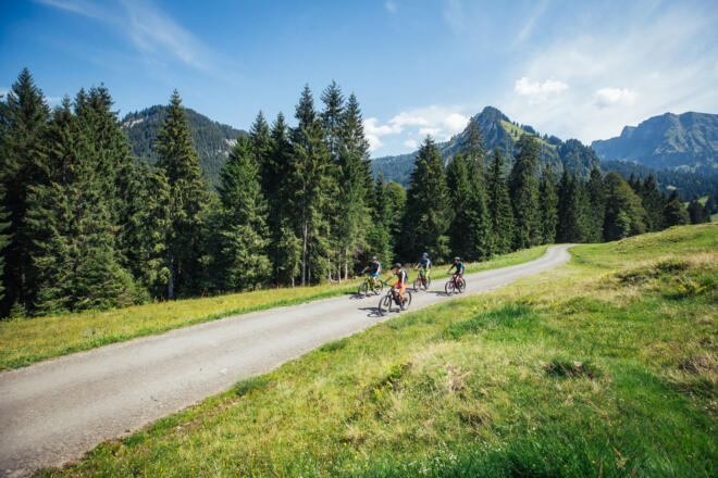 Mountainbiker in Schönenbach