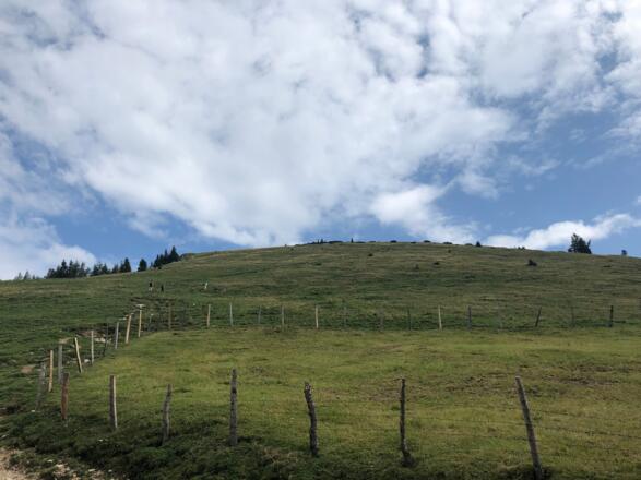 Blick zurück zum Gipfel 