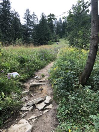 Wanderweg 