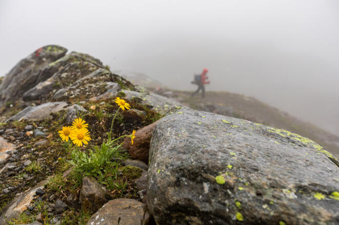 Und noch ein paar Minuten später im langen Abstieg zur Langtalereckhütte.
