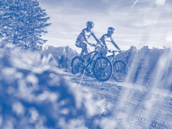 Nationalpark_Gesäuse_©StefanLeitner_053