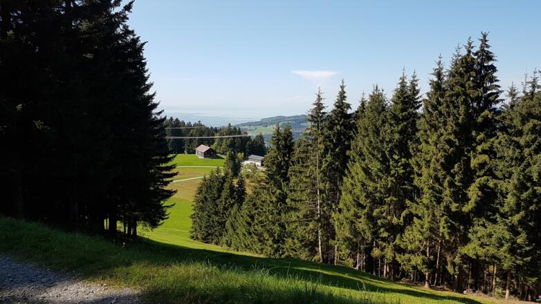 Musikwanderweg Brüggelekopf