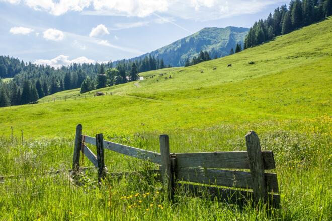Alpgebiet Brongen, Egg-Schetteregg