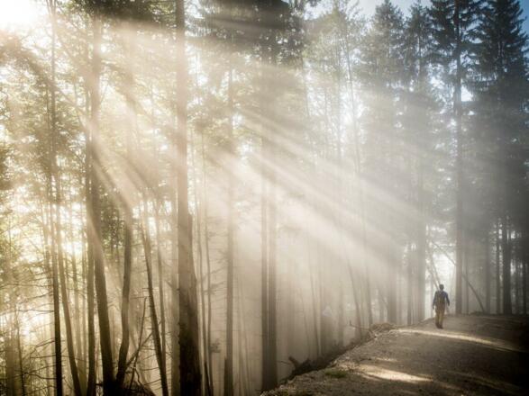 die letzten Meter nach Hall