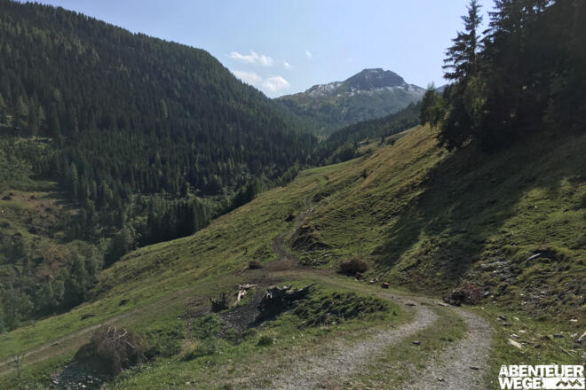 9.30 km - Fahrweg mündet in Weide, rechts halten und bergauf gehen (rot-weiße Markierungen).