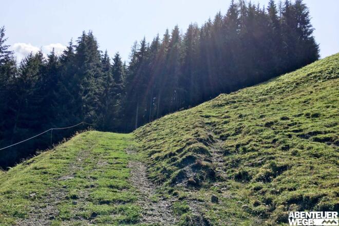 0.30 km - Vor dem Waldstück rechts abbiegen und rot-weiß markiertem Pfad über Wiese bergauf folgen.