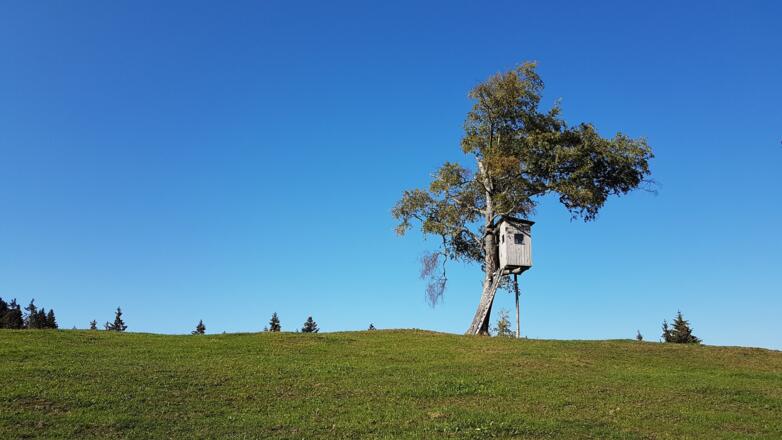 Musikwanderweg Brüggelekopf