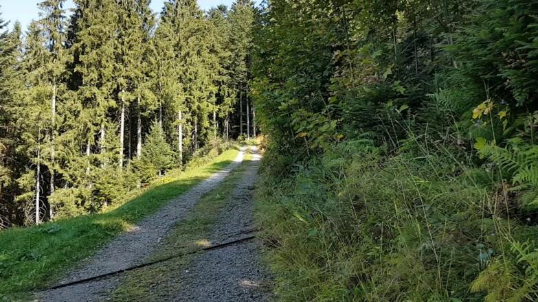 Musikwanderweg Brüggelekopf - CHÖRIG Frauenchor - &quot;Wiedokätzle&quot;