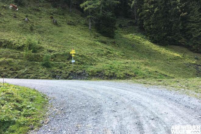2.70 km - In Linkskurve am Wegweiser rechts abbiegen vom Fahrweg (&quot;Heinreichalm&quot;).