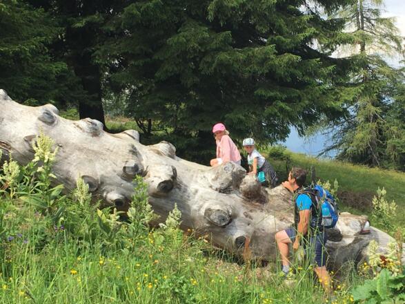 Geisterberg Wanderung