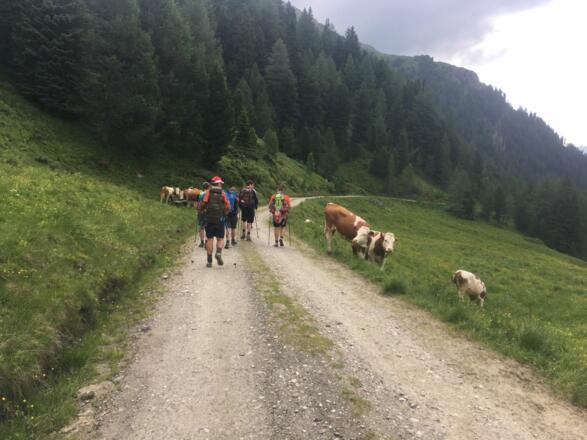 Weg zur Sticklerhütte 
