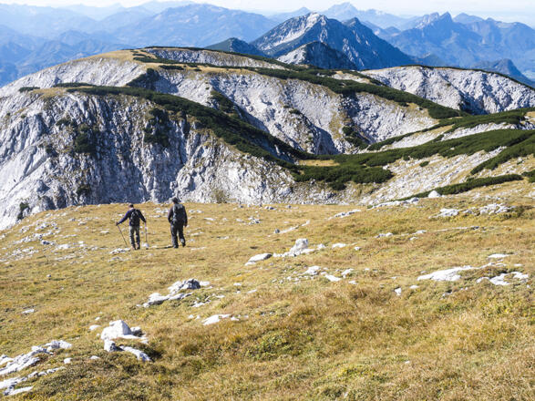 Grasmatten am Nockplateau