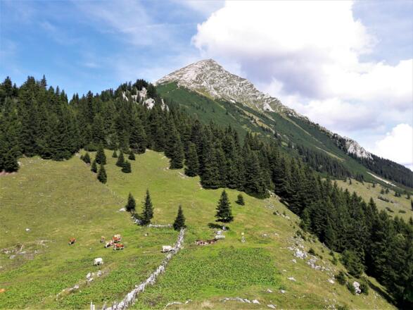 Der Große Pyhrgas vom Hofalmsattel (Blick Richtung Osten)