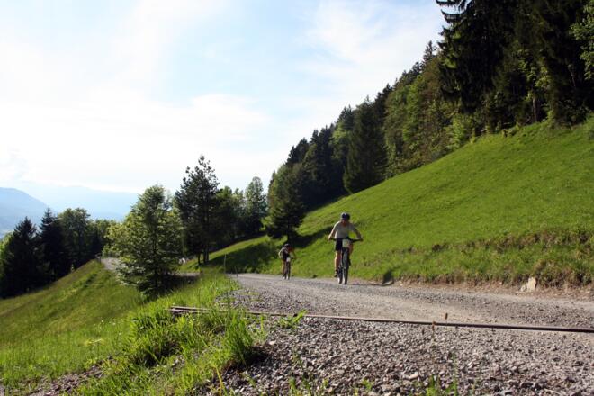 Beliebte Mountainbike-Strecke für Jung und Alt
