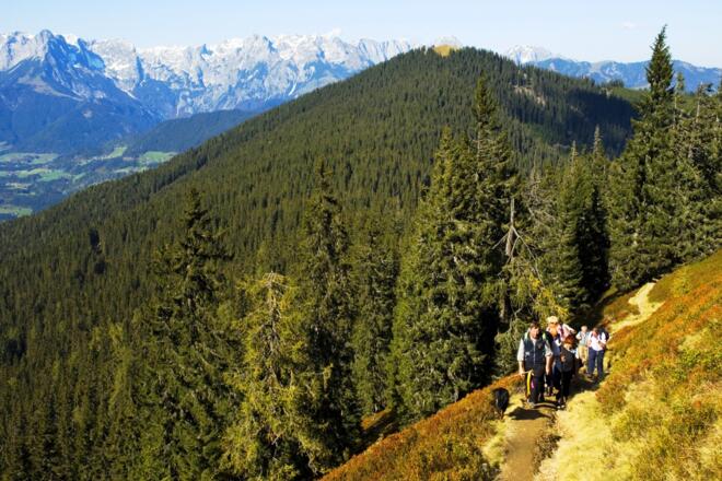 Weg zum Hochgründeck