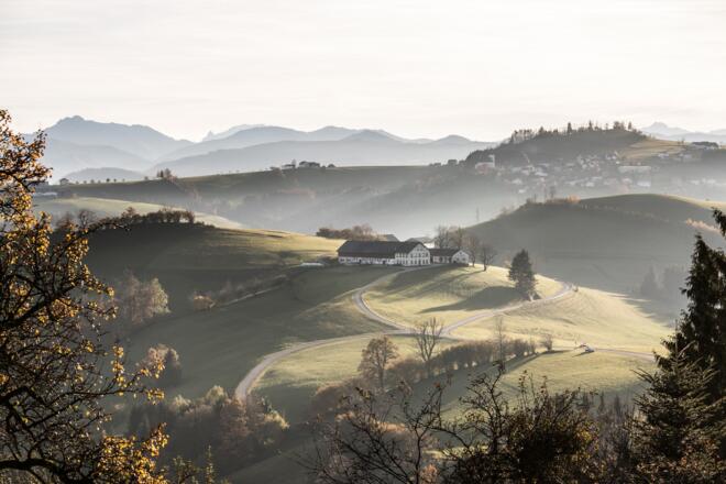 Panorama Höhenstraße