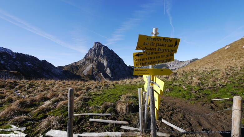 Am Gehrenjoch - im Hintergrund die Köllespitze