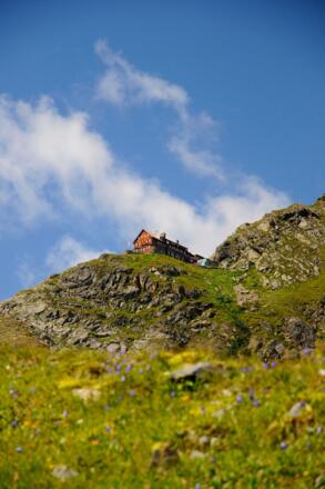 Die Flanke hinauf zur Saarbrücker Hütte präsentiert sich im Hochsommer in sattem Grün.