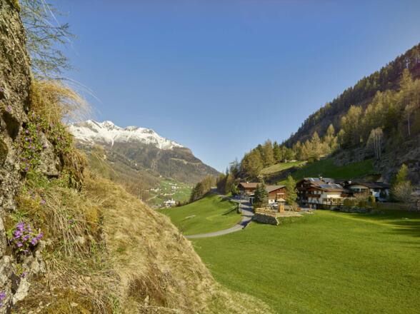 Blick auf die Moosalm