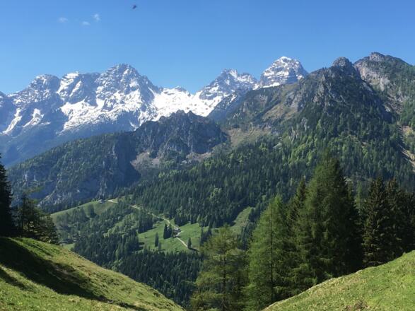 Blick Richtung Bräugföllalm und Loferer Steinberge