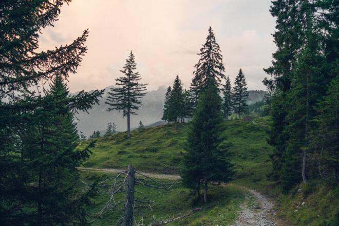 Auf dem Rückweg Richtung Burtschasattel