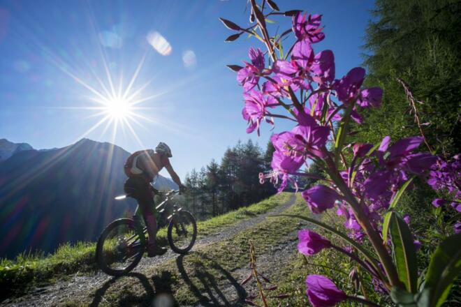Auffahrt über den Leiterberg