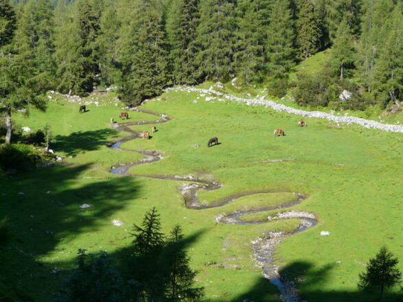 Kraftplatz Kaserboden (Platz 6)