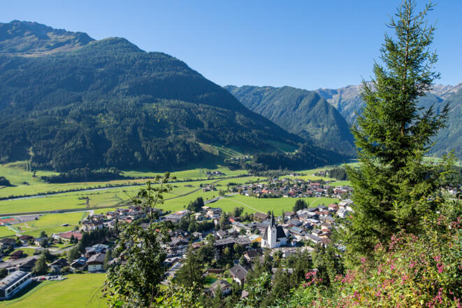 Aussicht auf Neukirchen