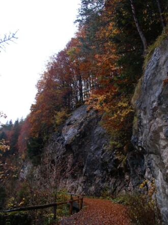 Untere Blühnbachtalstraße Herbst