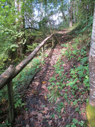 Waldweg zur Wetzsteinhöhle