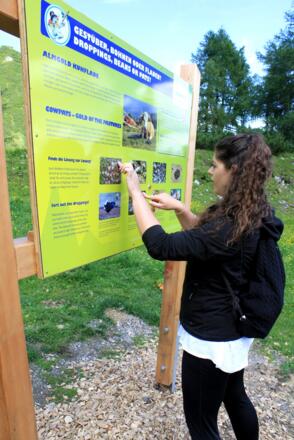 Infotafeln an jeder Station geben nützliche Informationen zu den Herdetieren und ihrer Umgebung.