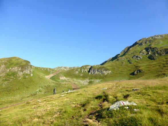 Grasjochgebiet auf dem Hochjoch