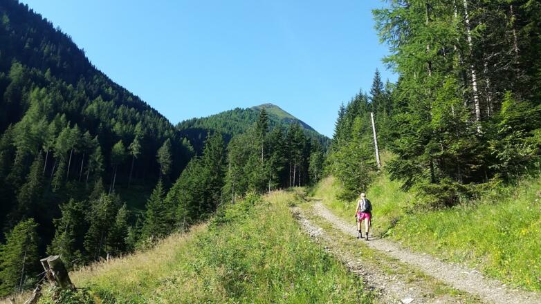 Anstieg Richtung Nahenfeldalmen