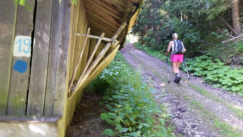 Rehfütterung am Wegesrand