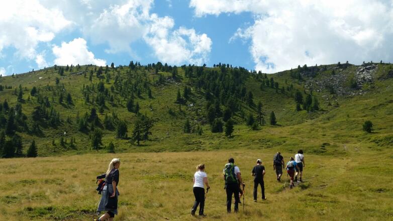 Der Weg führt auf den Kamm