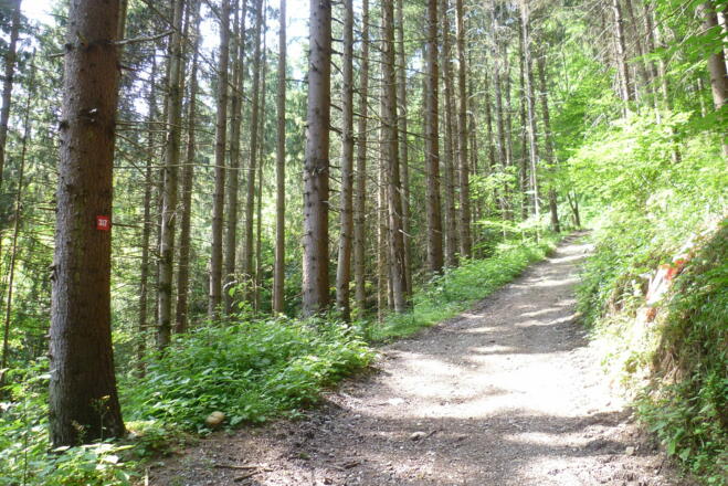 Durch den Wald