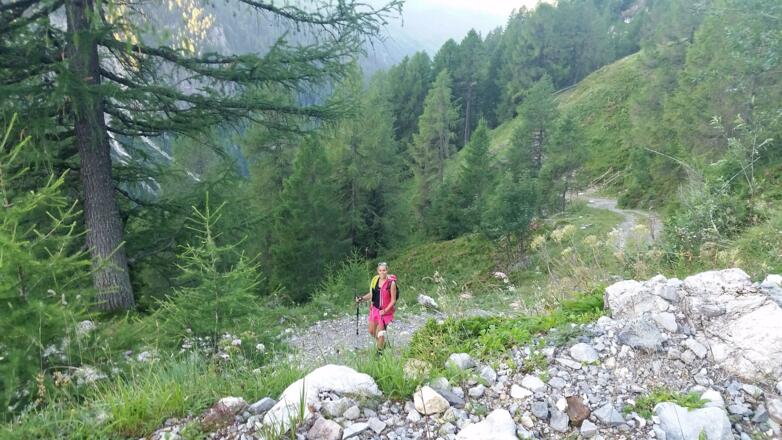 Anstieg über Forststraßen zur Franz Josef Fischer Hütte