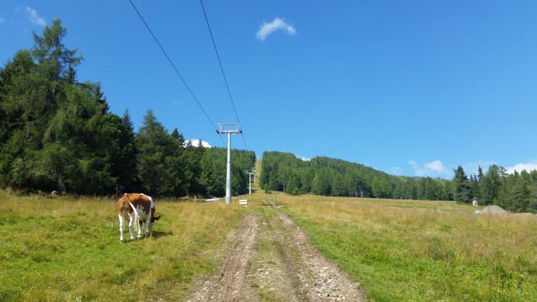 kurzer Aufstieg über die Skipiste