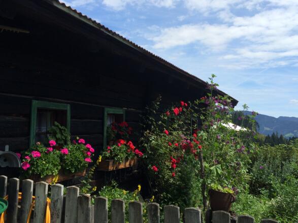 Rettenebenalm - Roslalm