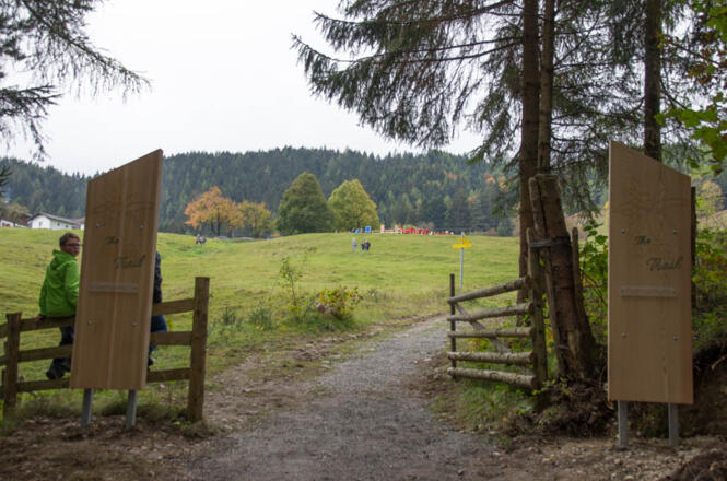 Am Gatter angekommen ist nach wenigen Minuten Fußweg das Ziel erreicht.