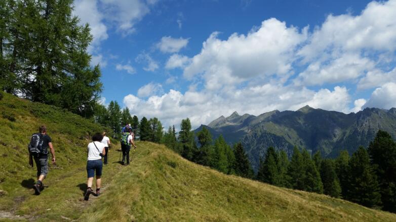 Weg Richtung Aiblalm