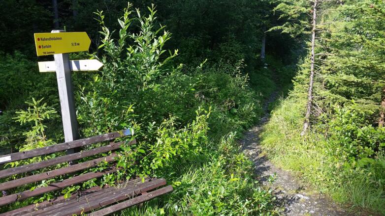 Folgen Sie den Steig bis zur Bartlalm