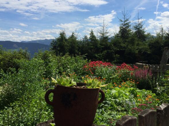 Kräuter- und Blumengarten von der Roslalm