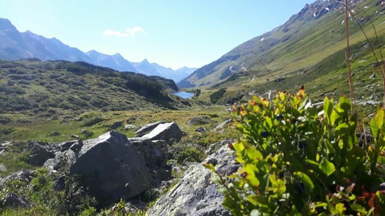 Emil-Roth-Weg, im Hintergrund der Langsee
