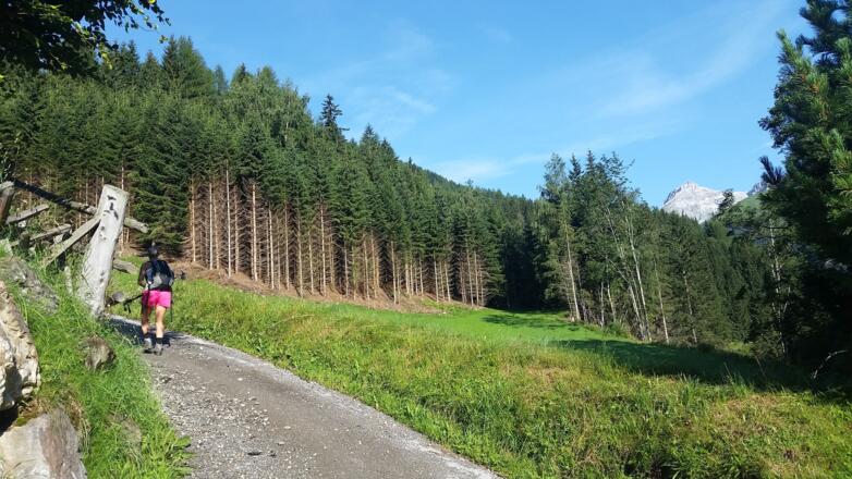 Almgüterweg nach den beiden Häusern