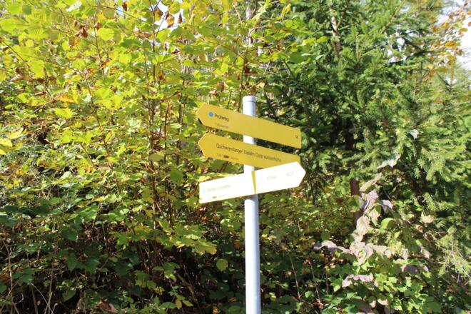 Wanderweg zur Dielam