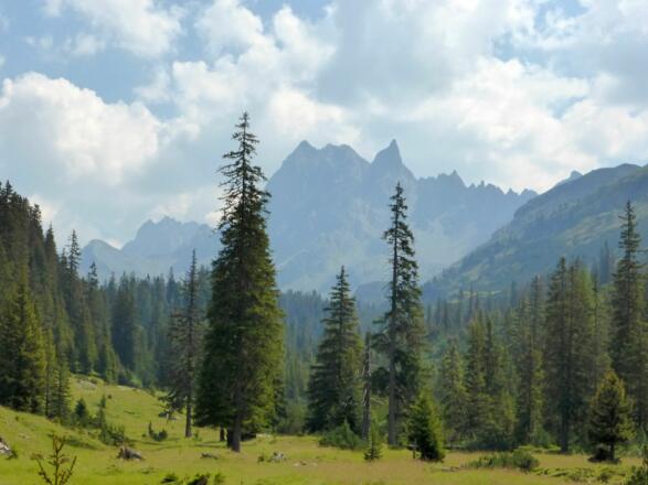 Patteriol im Hintergrund